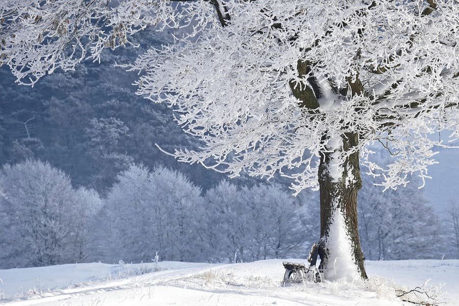 imagen de un paraje natural invernal, terapia para brujas